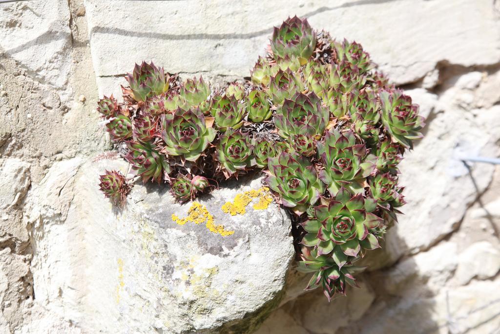 Le Clos De La Garde Anché Esterno foto
